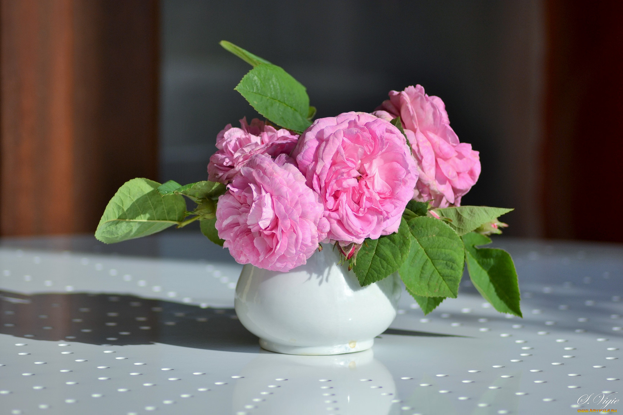 , , leaves, petals, bud, rose, , , , , , blossoms